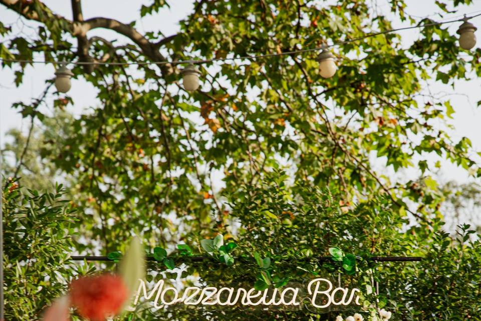 MozzaBar13