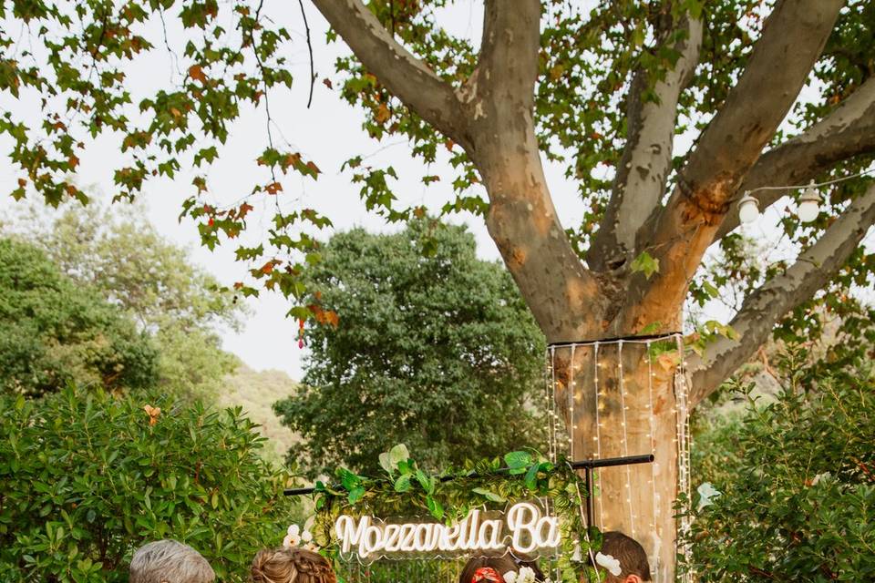 MozzaBar7