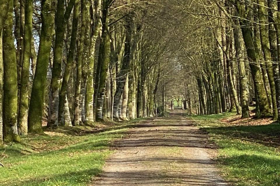 Partie de l'allée cavalière