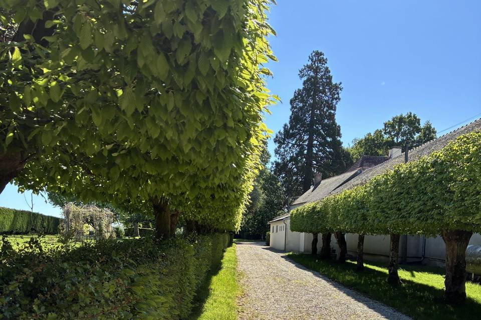 Allée parc