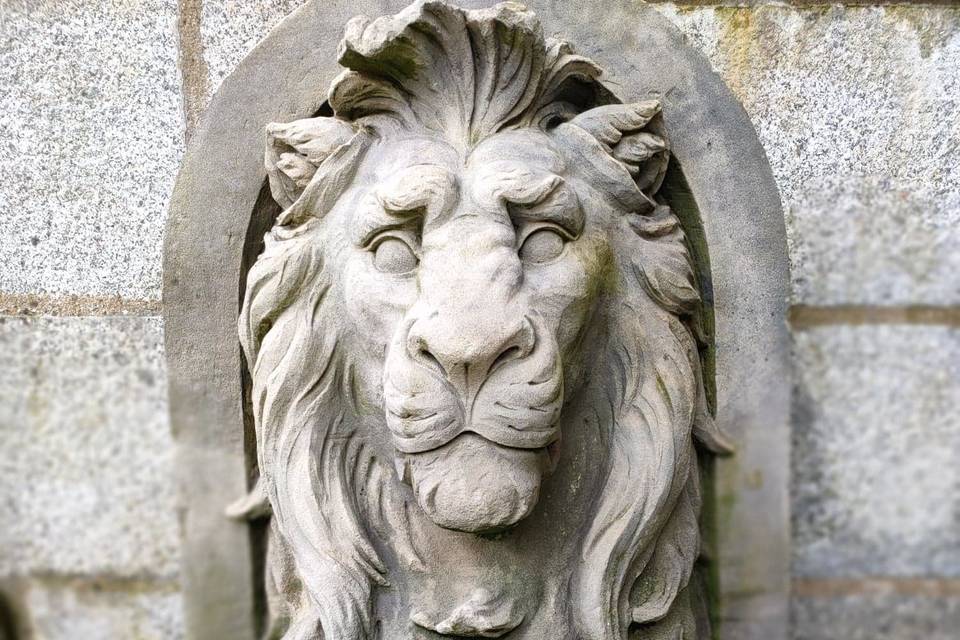 Le lion