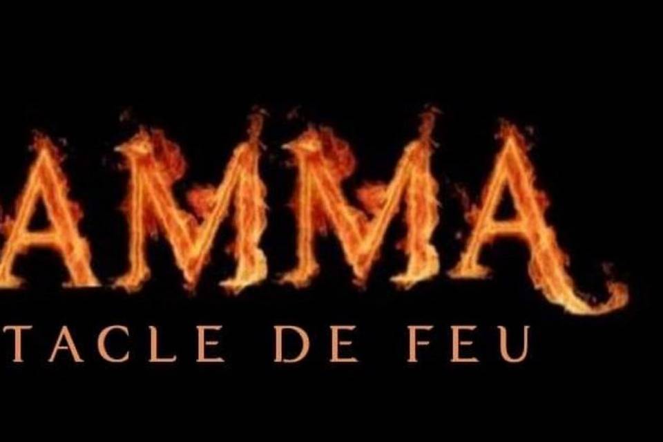 Logo Flamma