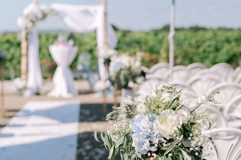 Terrasse sur vignes