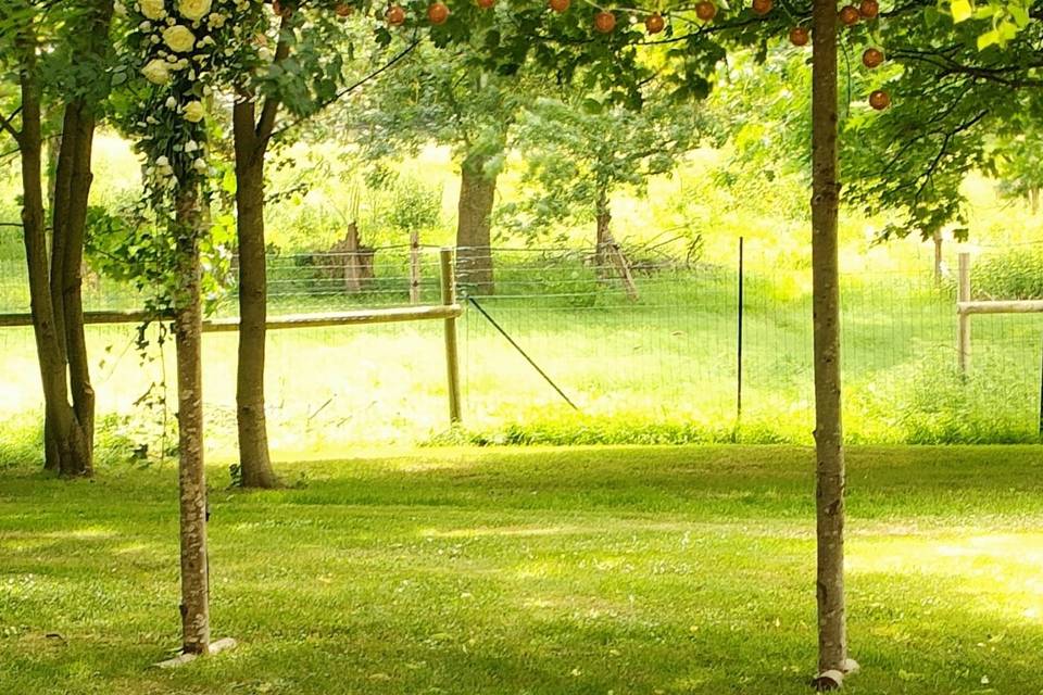 Arche fleurie