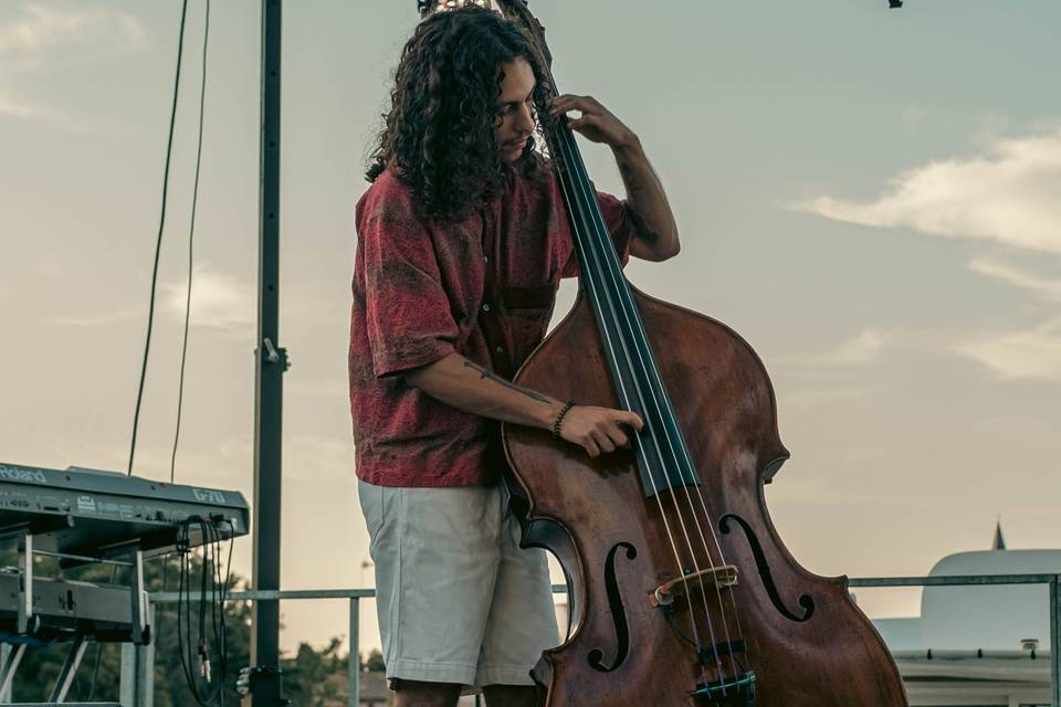 Samuel Gonthier, Contrebassist