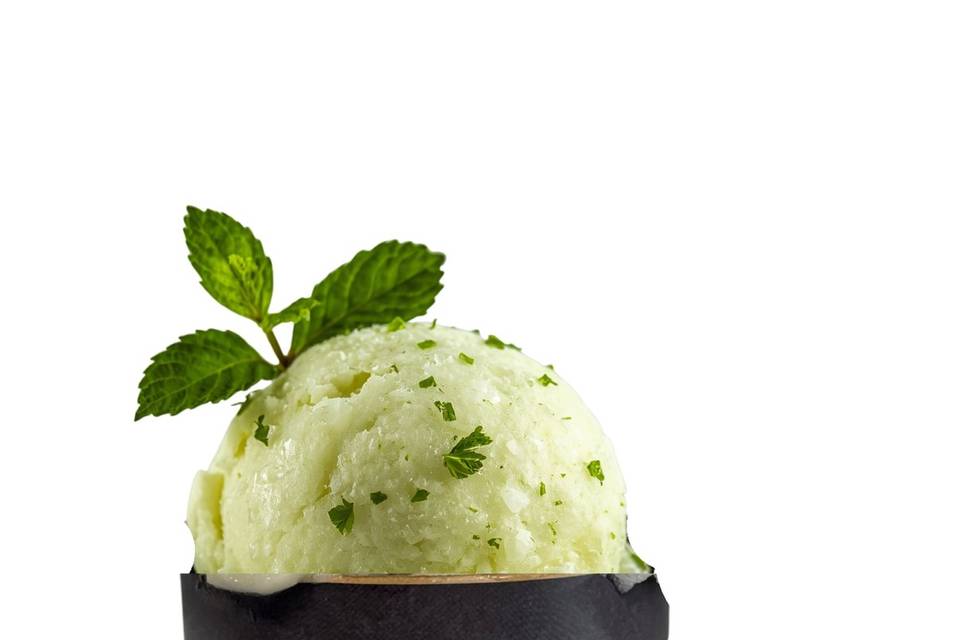 Sorbet Mojito