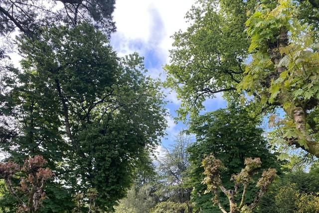 Allée de cérémonie