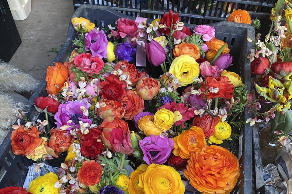 Soliflores pop colorés