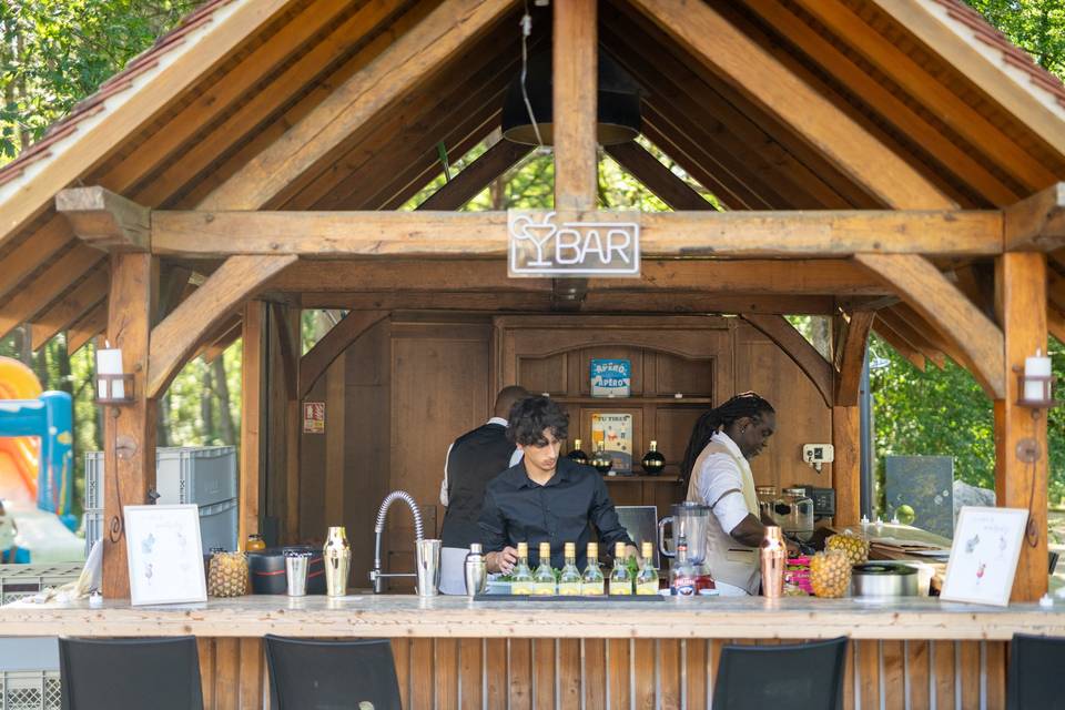 Bar de jardin
