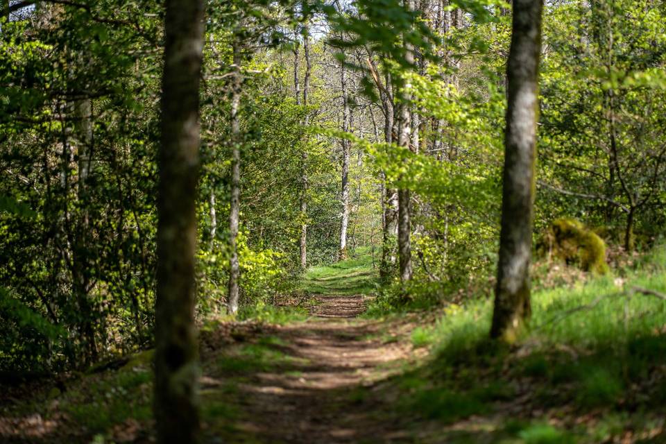 Sentier découverte du Domaine