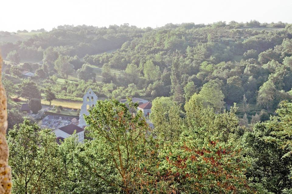 L'Aurore sur Vignes