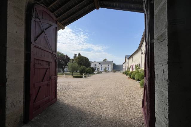 La cour