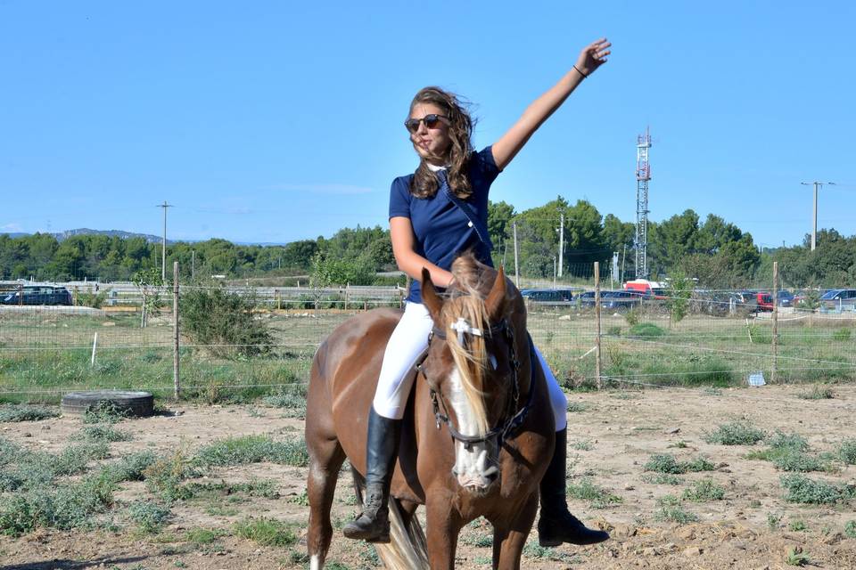 Participation des chevaux