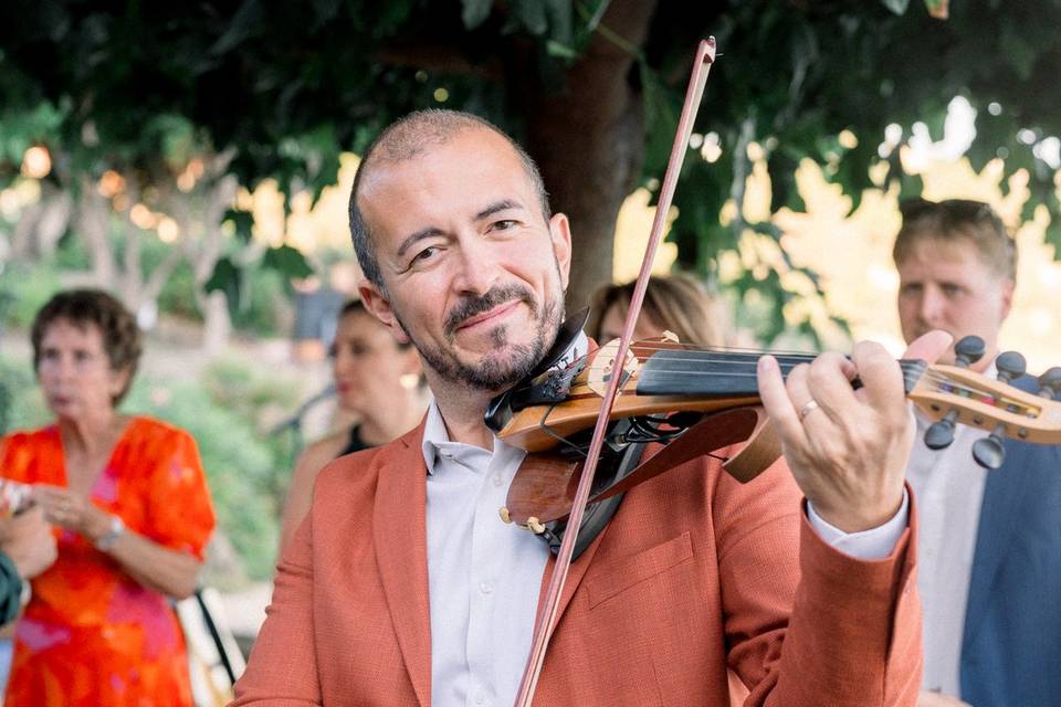 Violon