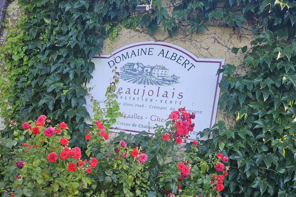 Brunch de lendemain