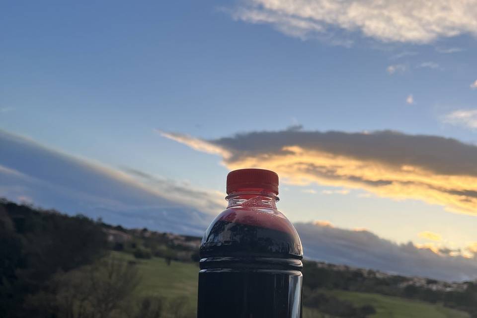 Jus de Bissap