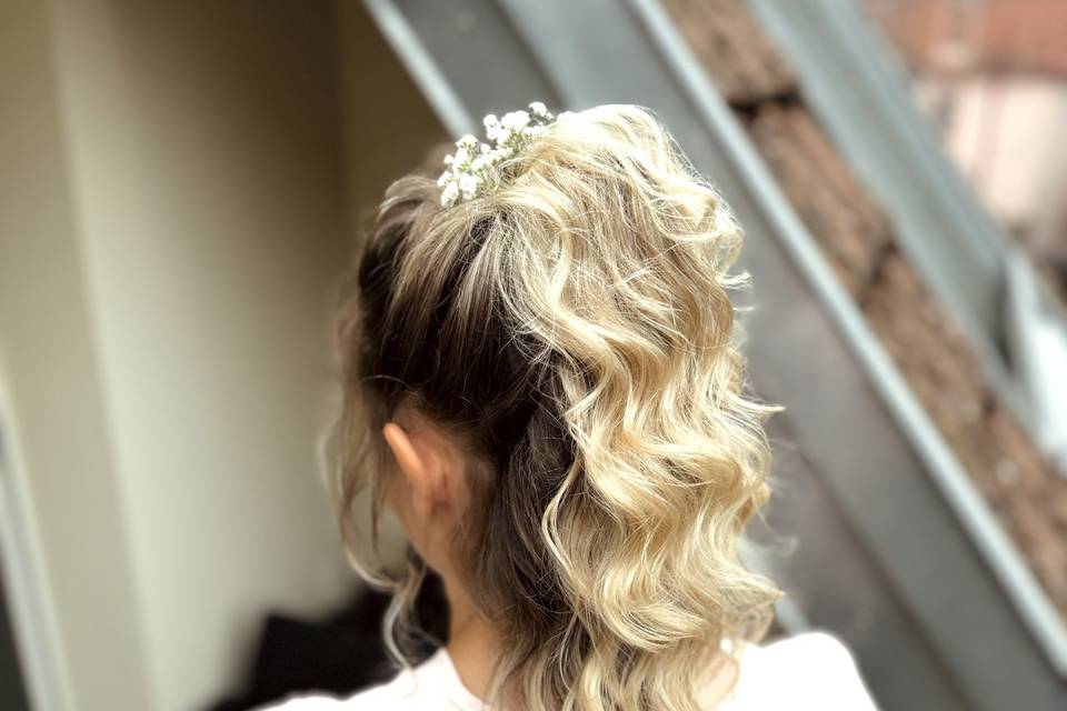 Ponytail