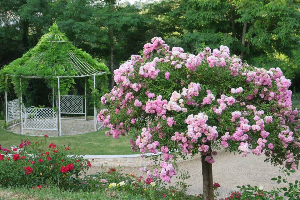 Un coin du jardin avec pergola