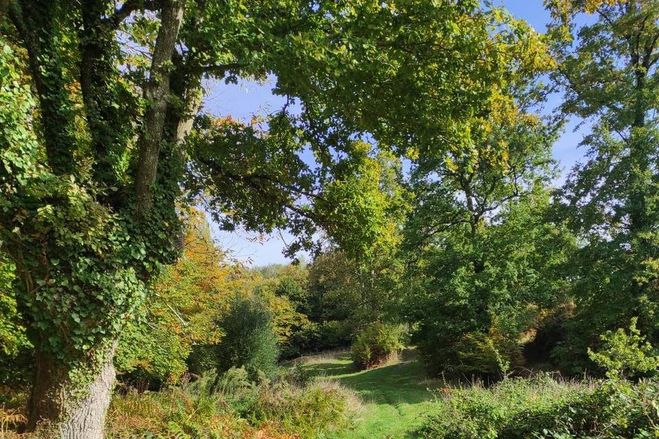 Vallée