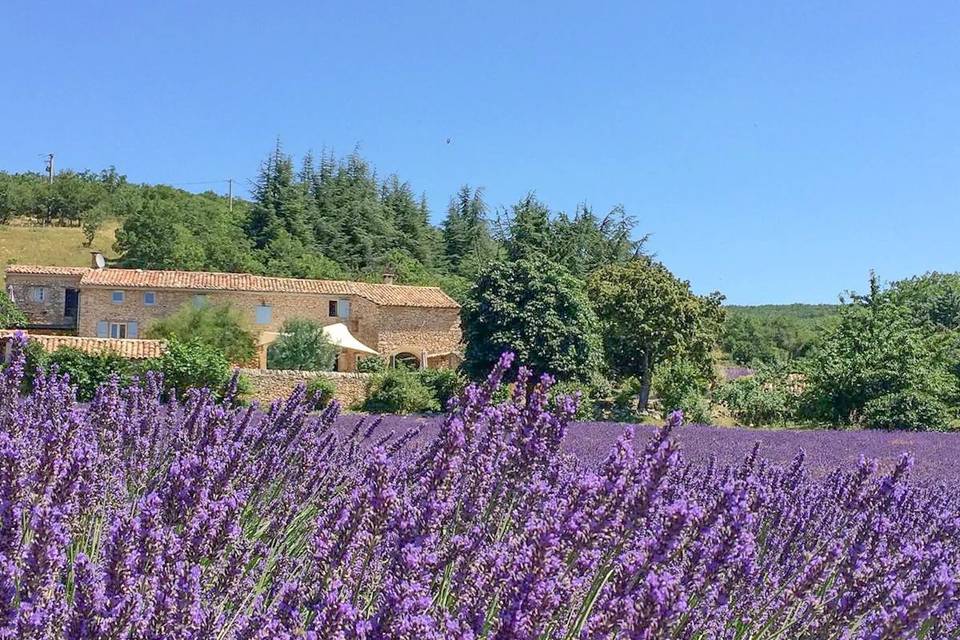 Hameau de l'Esperelle