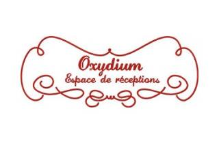 Oxydium Concept logo