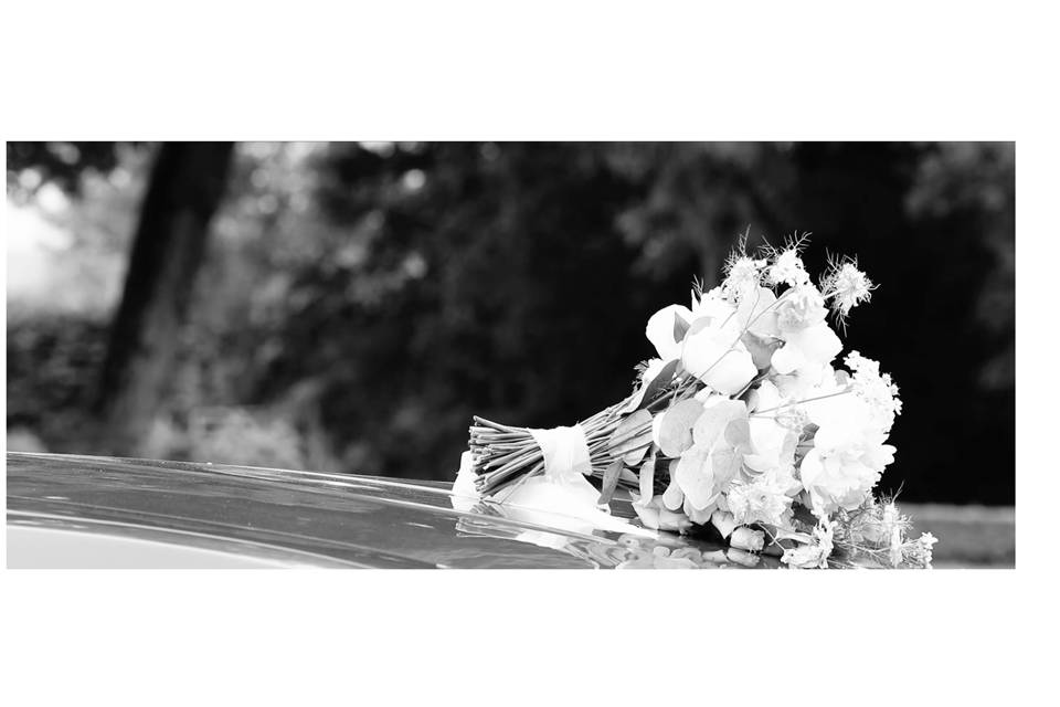 Photos et films sur demande