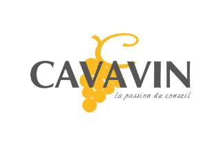 Cavavin