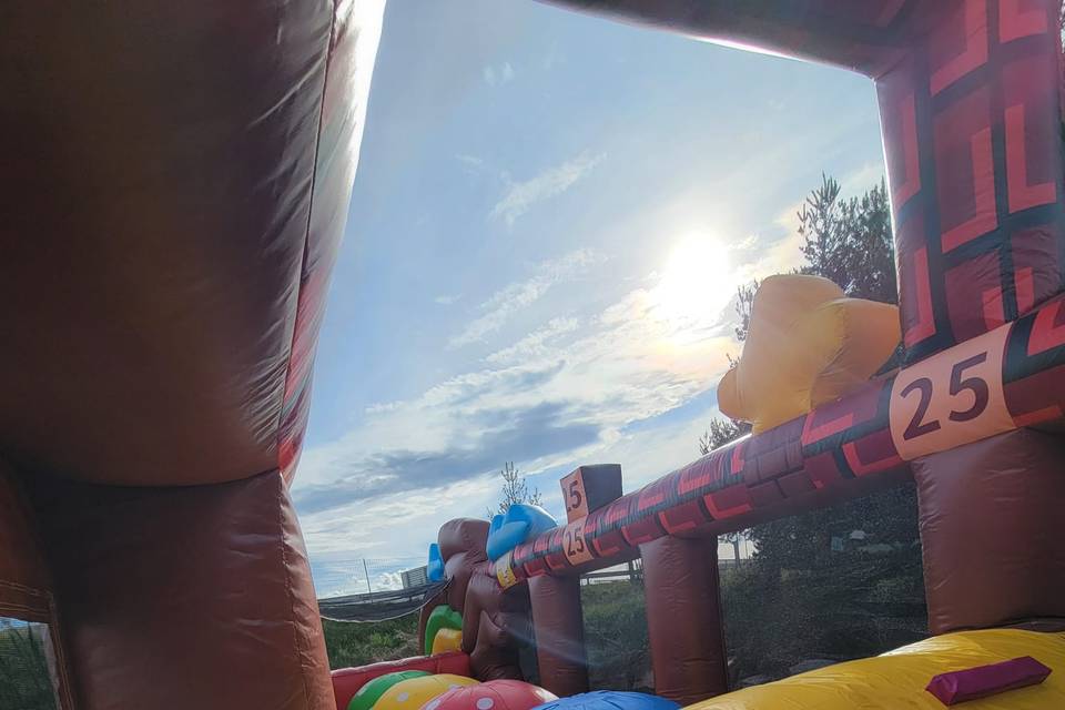 Whipeout Mario