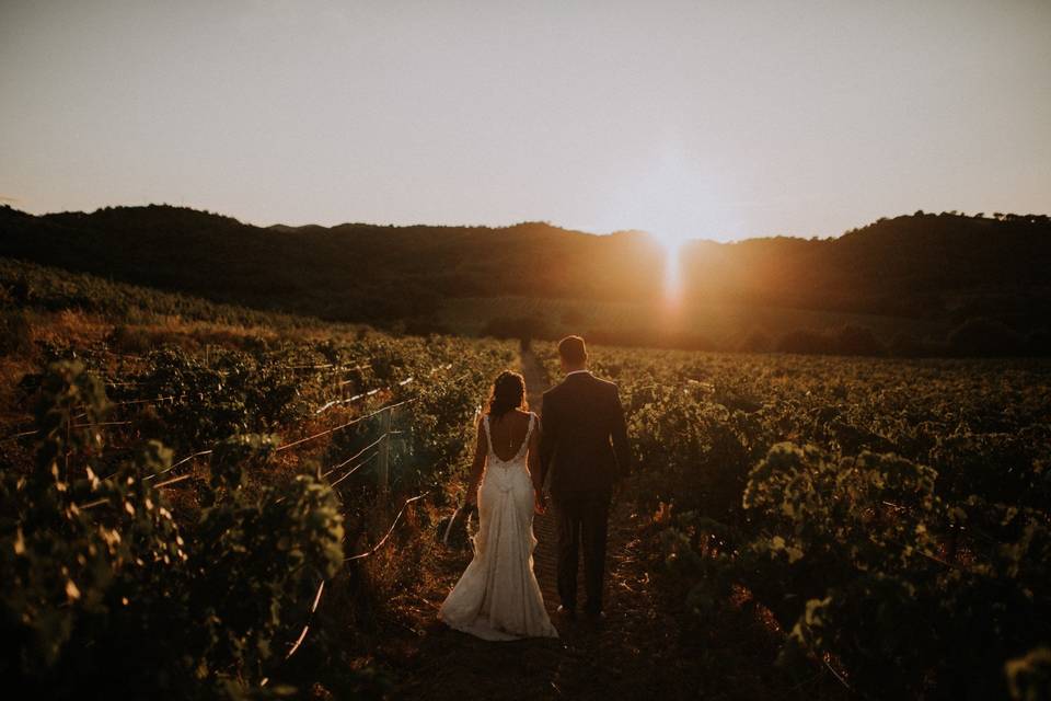 Se marier au coeur des vignes