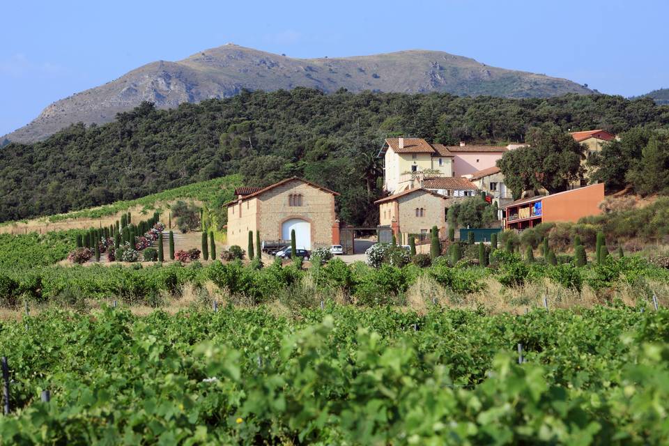 Le domaine et ses vignes
