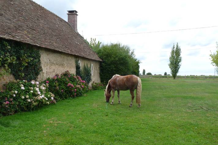 Gîte La Petite Chauvière