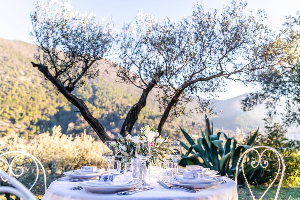 Mariage en Provence