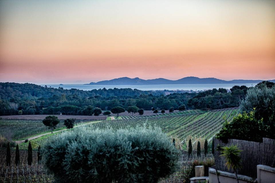 Vue mer de la terrasse