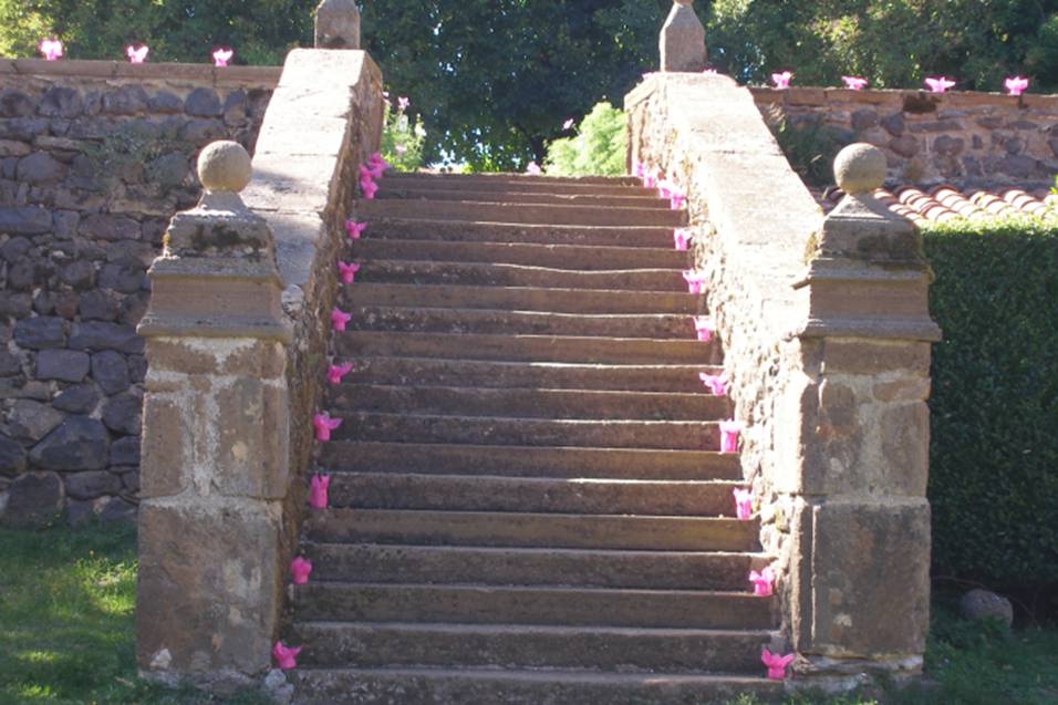 Cours- escalier potager