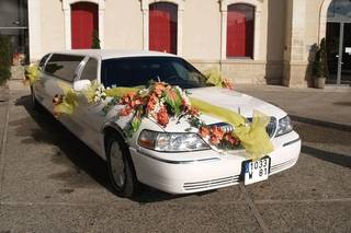 Limousine 81