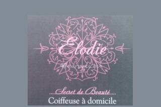 Secret de beauté logo