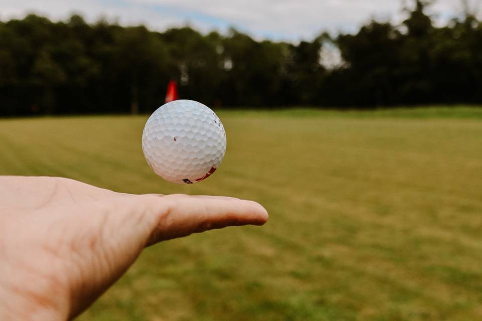 Practice golf