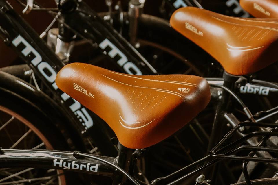 Vélos à disposition