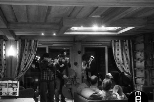 Musiciens professionnels