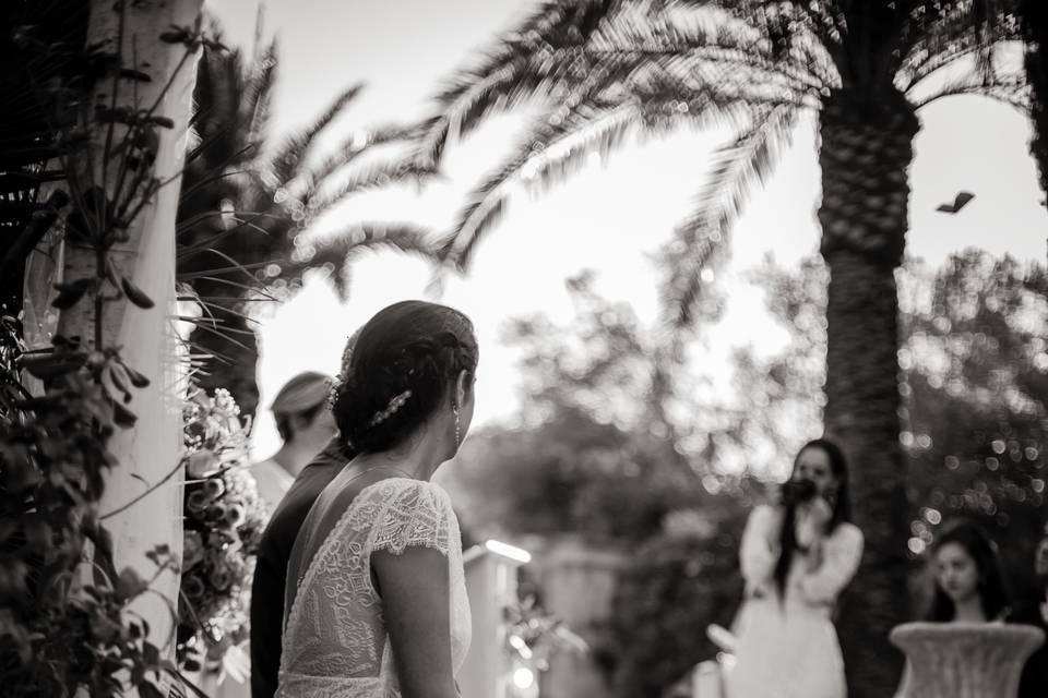 Wedding 2019