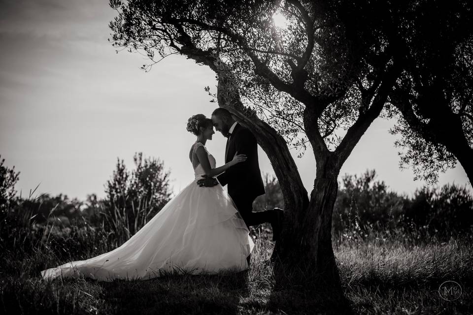 Wedding 2019