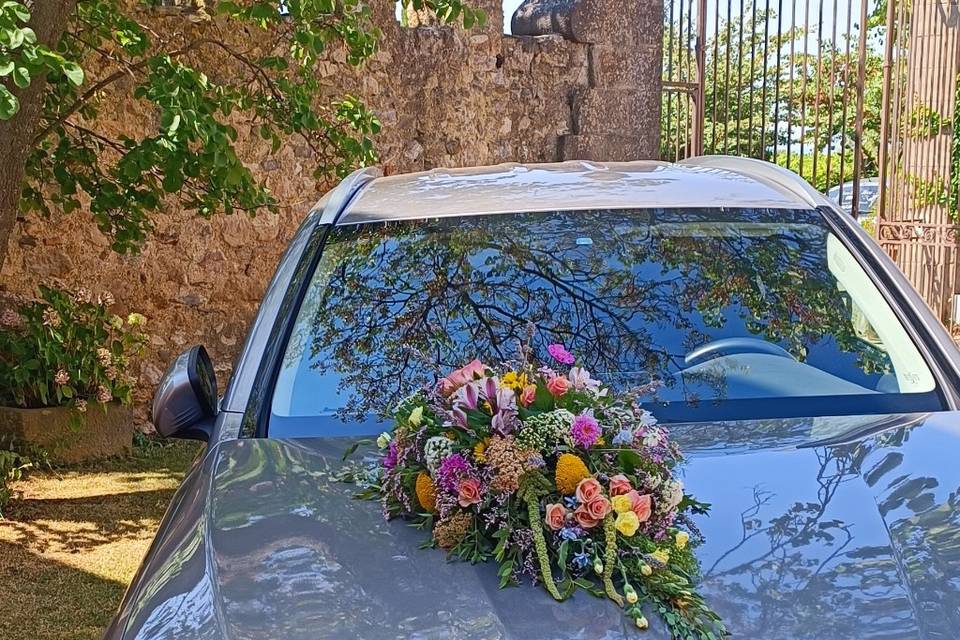 Décor voiture