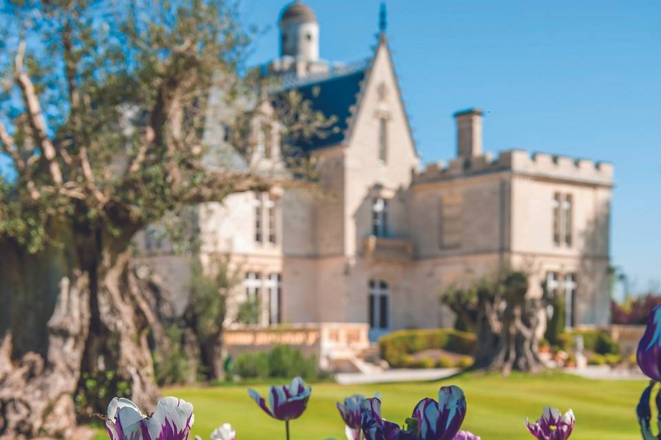Printemps, tulipes Château Pape Clément