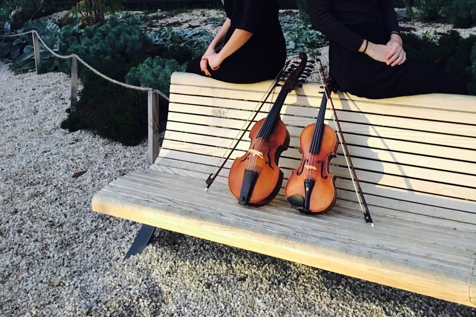 Comment choisir mes cordes pour violon ?