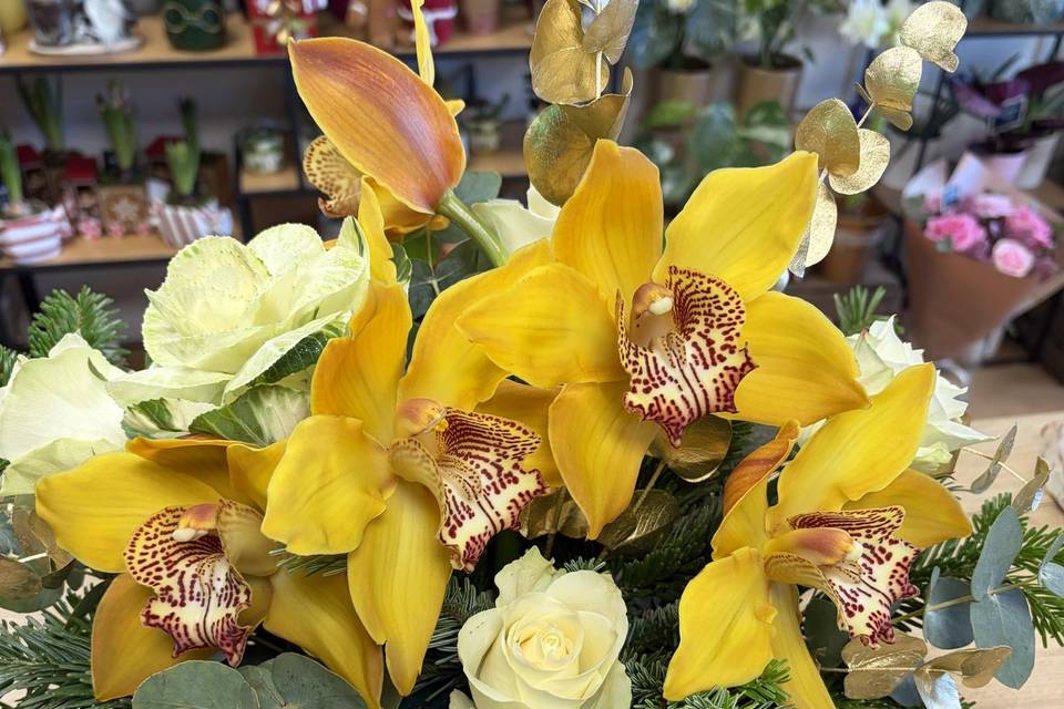 Orchidée