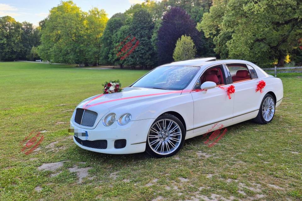Une limousine luxueuse