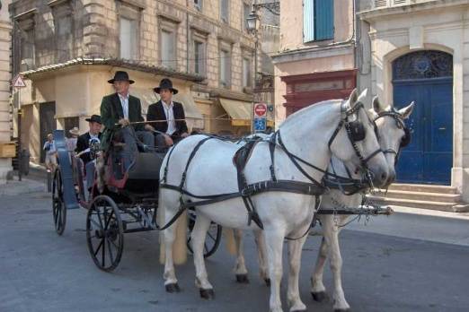 Chevaux et conducteurs