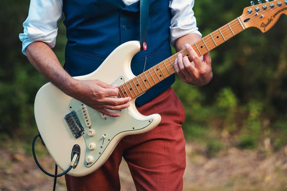 Domaine de Pijaubert ( Guitari