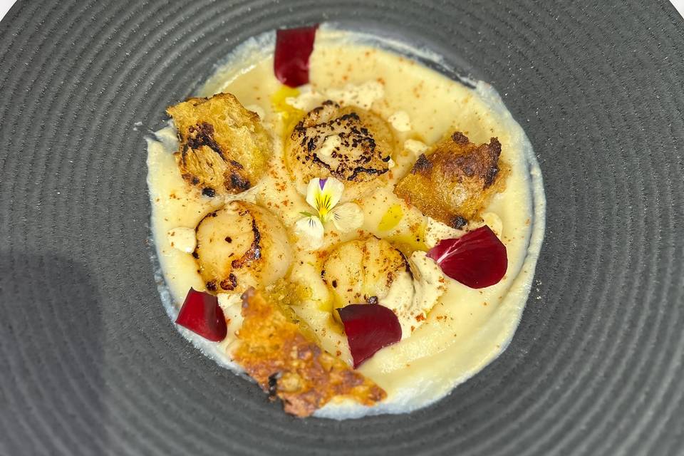 Velouté et saint Jacques