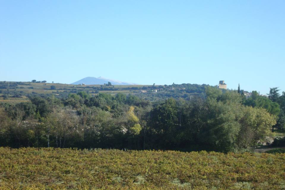 Arrivée lieux automne